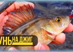 Техника ловли окуня на джиг и самые рабочие джиговые оснастки