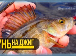 Техника ловли окуня на джиг и самые рабочие джиговые оснастки