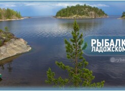 Места для рыбалки на Ладоге и ловля рыбы на озере
