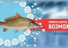 Зимняя рыбалка на карпа классическими снастями и необычным способом