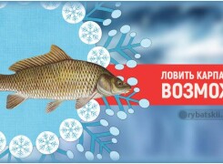 Зимняя рыбалка на карпа классическими снастями и необычным способом