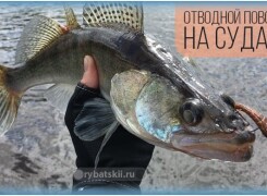 Как сделать отводной поводок на судака и ловить хищника