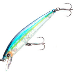 Daiwa Team Daiwa Minnow 1091F
