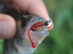 Виды приманок и мормышек для рыбалки