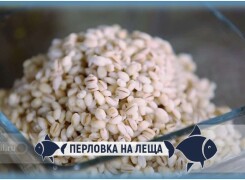 Как сварить перловку для рыбалки на леща