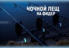 Как ловить леща на фидер ночью