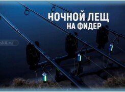 Как ловить леща на фидер ночью