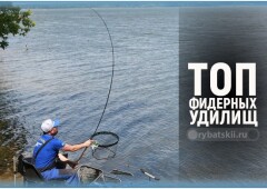 Обзор лучших фидеров по цене и качеству и мнения экспертов