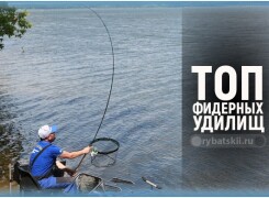 Обзор лучших фидеров по цене и качеству и мнения экспертов