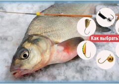 Как выбрать мормышки для зимней рыбалки на леща