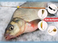 Как выбрать мормышки для зимней рыбалки на леща