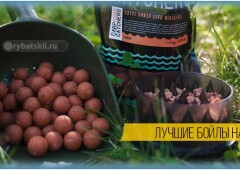 Какие бойлы лучше для рыбалки на карпа