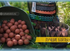 Какие бойлы лучше для рыбалки на карпа
