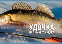 Как оснастить удочку на судака для зимней рыбалки