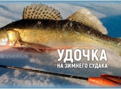 Как оснастить удочку на судака для зимней рыбалки