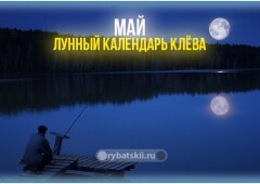 Лунный календарь рыбака на май 2022 года и прогноз клёва по фазам луны
