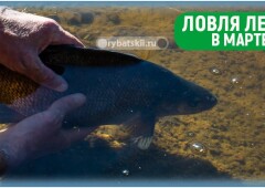 Ловля леща на фидер в марте и подготовка к рыбалке