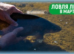Ловля леща на фидер в марте и подготовка к рыбалке