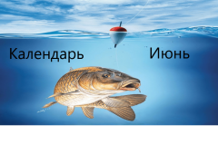 Лунный календарь рыбака на июнь 2024 года