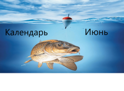 Лунный календарь рыбака на июнь 2024 года