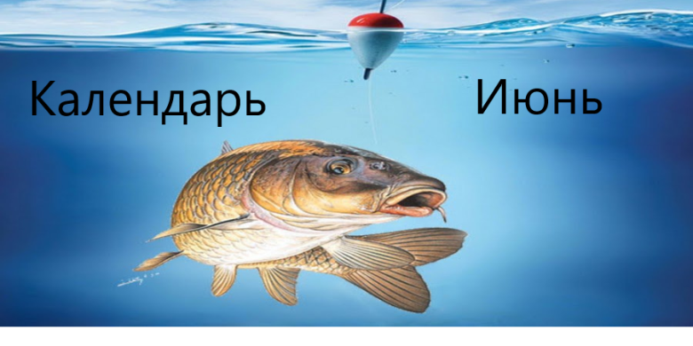 Лунный календарь рыболова июнь 2024: по фазам луны, таблица по рыбам ...