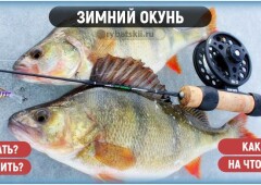 Техника ловли окуня зимой и подбор снастей