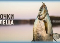 Какими крючками лучше ловить леща и подлещика