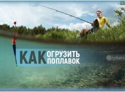Как огрузить поплавок для летней удочки и настроить его чувствительность