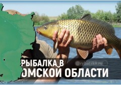 Рыбалка в Омской области и лучшие рыбные места