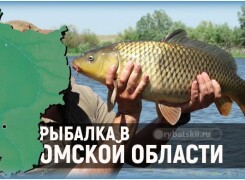 Рыбалка в Омской области и лучшие рыбные места