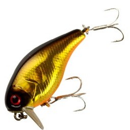 Jackal Chubby 38 SSR