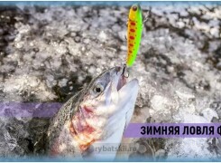 Оснастка зимней форелевой удочки и выбор инструмента