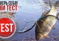Тест — законы ловли рыбы и рыбалки