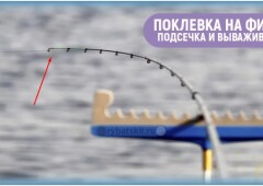 Как увидеть поклёвку на фидере и когда подсекать рыбу