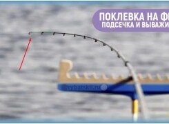 Как увидеть поклёвку на фидере и когда подсекать рыбу