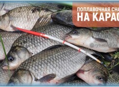 Оснастка поплавочной удочки на карася и выбор удилища
