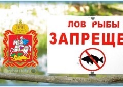 Сезон рыбалки в Подмосковье в 2024 году