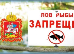 Сезон рыбалки в Подмосковье в 2024 году