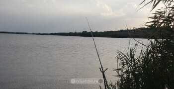Отчёт о рыбалке на карася фидером ночью осенью