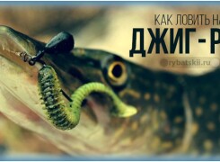 Оснастка джиг риг и техника ловли хищника на необычную снасть