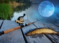 Лунный календарь рыбака на июль 2024 года