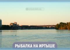 Ловля рыбы на Иртыше по сезону и лучшие рыбные места