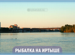 Ловля рыбы на Иртыше по сезону и лучшие рыбные места