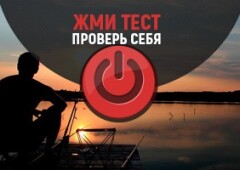 Тест — что влияет на клёв рыбы