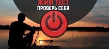Тест — что влияет на клёв рыбы