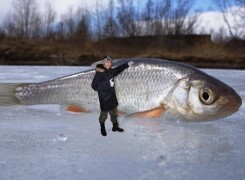 ТОП-10 самой крупной плотвы в мире и России