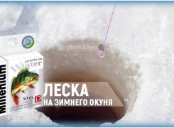 Какую зимнюю леску выбрать на окуня