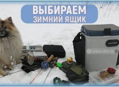 Как рыбаку выбрать надёжный и вместительный ящик для зимней рыбалки