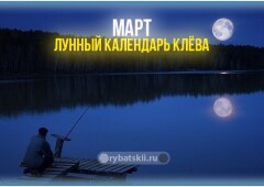 Лунный календарь рыболова на март 2022 года и прогноз клёва по фазам луны