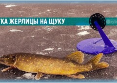 Как оснастить жерлицу на щуку зимой под разные условия рыбалки